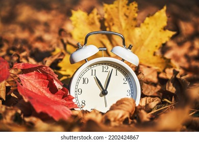 alarm clock on autumn leaves on natural background - Shutterstock ID 2202424867