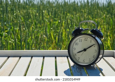 Alarm Clock On White Wooden Table In A Field Of Rye Or Wheat, Mock Up. Shallow Depth Of Field. Empty Space For Product Montage.