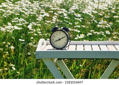 Alarm Clock White Wooden Table In A Camomile Field, Mock Up. Shallow Depth Of Field. Empty Space For Product Montage.