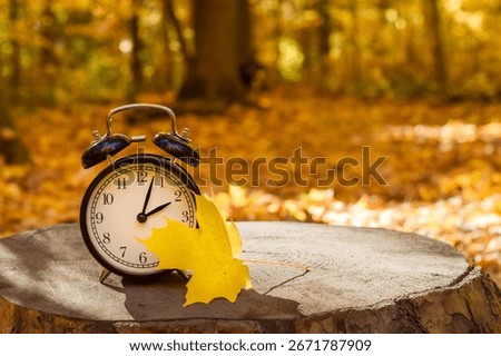 Alarm clock with a yellow maple leaf placed on a tree stump in a sunlit autumn forest with a blurred background. Symbolic image representing daylight saving time and fall season change