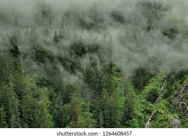 Alaska. Coast Of Kenai Fjord.