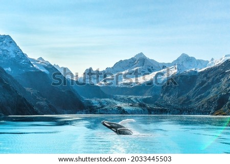 Alaska cruise travel Glacier Bay vacation. Whale watching tour concept for USA holiday destination. Foto d'archivio © 