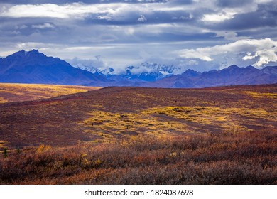Alaska Denali State Park Fall