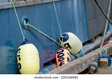 Alaska Fishing Forest Ocean Boats