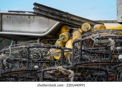 Alaska Fishing Forest Ocean Boats