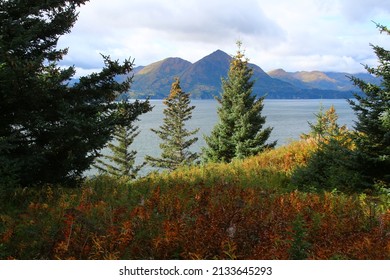 Alaska, landscape of Kodiak Island, United States. Landscape  of Fort Abercrombie State Historic Park on Kodiak Island.    