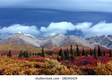 Alaska Mountains And Tundra Denali National Park