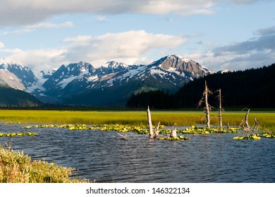 Alaska Prince William Sound Glacier Cruise Huge Panorama View