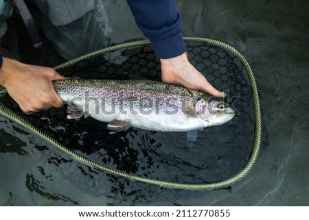 Alaska trout steelhead fly fishing fisherman wildlife