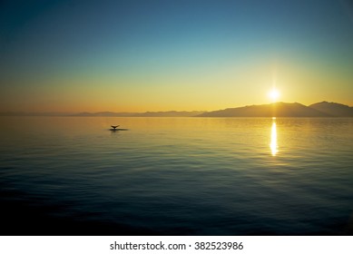 Alaska Whale Tail Sunset