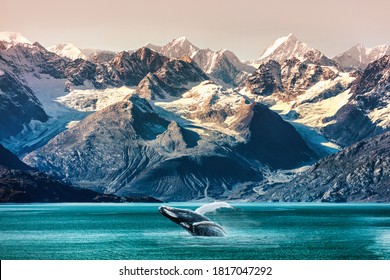 Alaska whale watching boat excursion. Inside passage mountain range landscape luxury travel cruise concept. - Shutterstock ID 1817047292