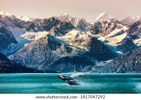 Alaska whale watching boat excursion. Inside passage mountain range landscape luxury travel cruise concept.