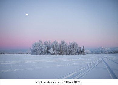 Alaska Winter Landscape With Snow And Frost