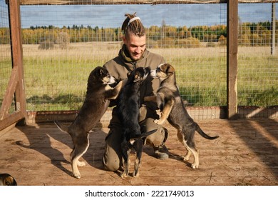 Alaskan Husky kennel, volunteer takes care of dogs. Young Caucasian man with dreadlocks chooses puppy from shelter, sitting in aviary, smiling and rejoicing. Concept of adoption of abandoned pets.