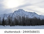 Alaskan Mountain Range View from Palmer