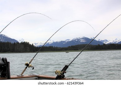 Alaskan Salmon Fishing 