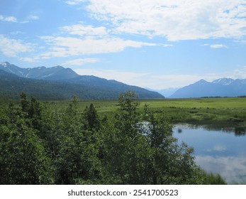 Alaskan wilderness overlooking a beautiful lake, trees, greenery, and mountains. - Powered by Shutterstock