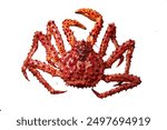 Alaskian king crab isolated on a white background, top view.