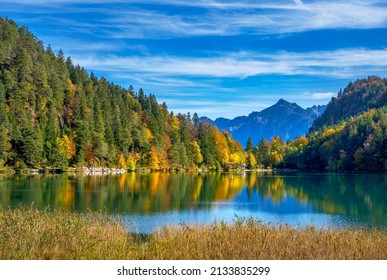 Alatsee Lake In Autumn, Near Füssen, Allgau, Bavaria, Germany, Europe