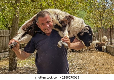 Albania, May 12, 2022 - Man Carries Goat On His Shoulders