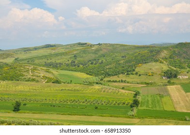 Albanian Fields