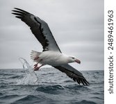 The albatross is a majestic seabird known for its impressive wingspan, which can reach up to 11 feet, making it one of the largest flying birds in the world. These graceful gliders spend most of their