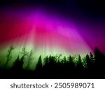 Alberta Aurora borealis and northern light show 
