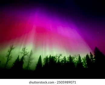 Alberta Aurora borealis and northern light show 
 - Powered by Shutterstock