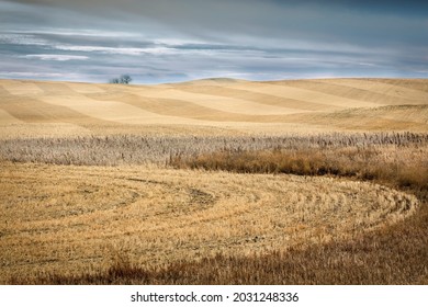 Alberta Farmland In Western Canada