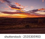 Alberta sunrise over agriculture field