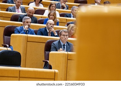 Alberto Nuñez Feijoo. President Of The Popular Party Of Spain In The Senate Of Madrid. MADRID, SPAIN - OCTOBER 18, 2022.