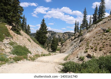Albion Basin Mountain Pass, Wasatch Range, Utah