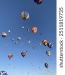 Albuquerque International Balloon Festival in 2024