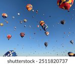 Albuquerque International Balloon Festival in 2024