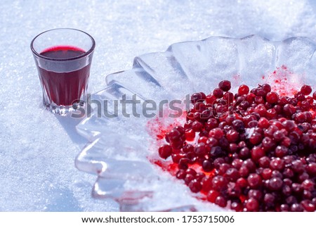 Alcoholic red tincture in a small glass and cranberries in an ice plate. Liquor in a glass stands in the snow. Focus on the glass. Horizontal.