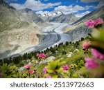 The Aletsch glacier in Switzerland