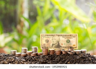 Hamilton Paper Money High Res Stock Images Shutterstock
