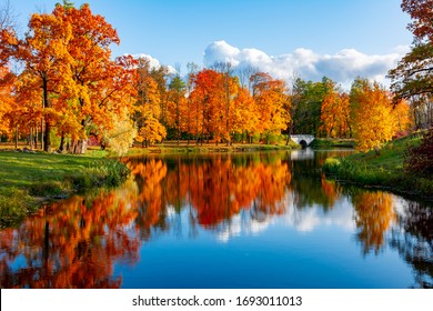 Alexander park in autumn, Pushkin (Tsarskoe Selo), St. Petersburg, Russia