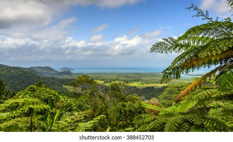 Alexandra Lookout Wet Tropics Great Barrier Reef Daintree