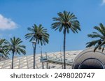 Alexandria library and the planetarium at Bibliotheca with palm trees in front of it