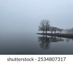 Alexandria Tide Lock Park in December, morning walk