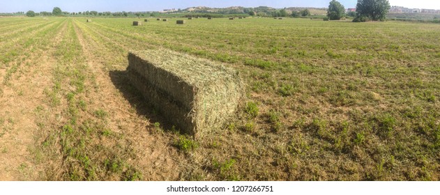 Alfalfa Bale Packed On Freshly Mown Field. Guadiana Meadows, Badajoz, Spain. Panoramic