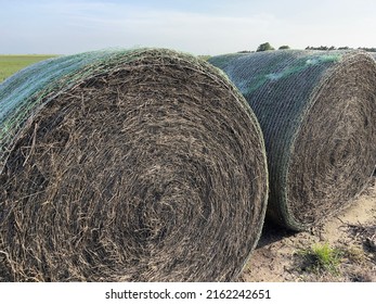 Alfalfa Big Round Bale In Kansas.