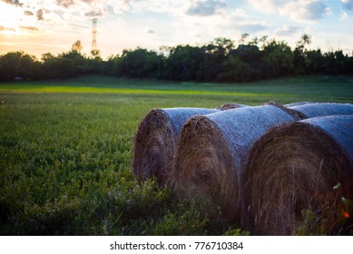 Alfalfa Field With Hay Bales Near Waukesha Wisconsin 