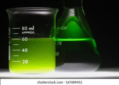 Algae Biofuel