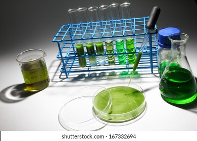 Algae Biofuel Technology