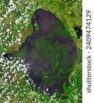 Algae Bloom in Lake Okeechobee. Cyanobacteria covered over half of the surface of Floridas largest freshwater lake in midJune 2023. Elements of this image furnished by NASA.