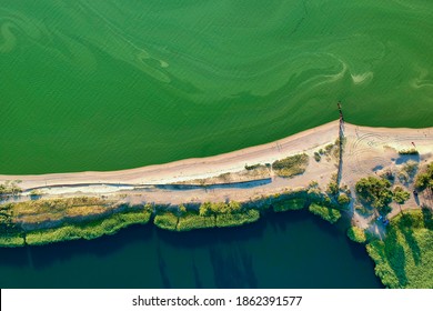 Algae Bloom Season. Polluted Green Water Of A Shallow Gulf In Summer, Aerial View