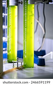 Algae bubbles science reactor, modern laboratory bioreactor , sample preparation, photo bio cultivation