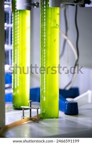 Algae bubbles science reactor, modern laboratory bioreactor , sample preparation, photo bio cultivation